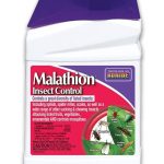 Bonide Malathion Insect Control 16 fl oz