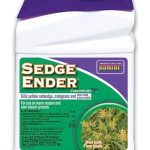 Bonide Sedge Ender Concentrate 16 fl oz