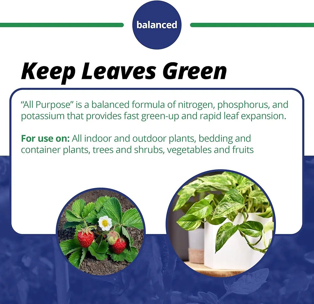 Jack's Classic 20-20-20 All Purpose Water-Soluble Plant Food with Micronutrients 4lbs - Image 4