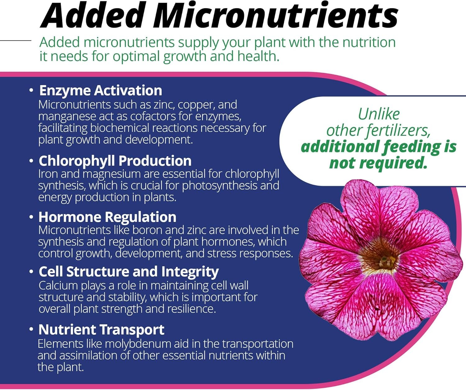 Jack's Classic 20-6-22 Petunia FeED Water Soluble Plant Food with Micronutrients 1.5 lbs - Image 5