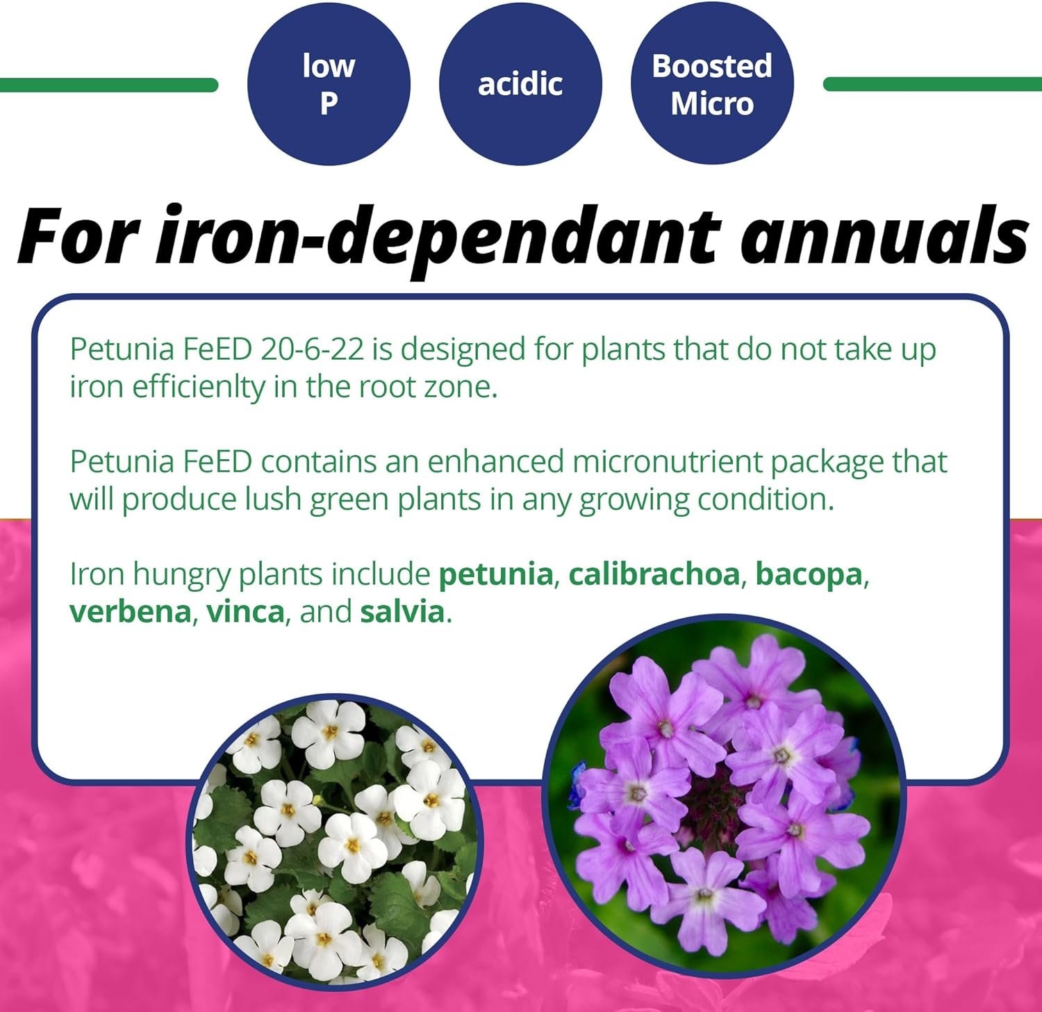 Jack's Classic 20-6-22 Petunia FeED Water Soluble Plant Food with Micronutrients 1.5 lbs - Image 4