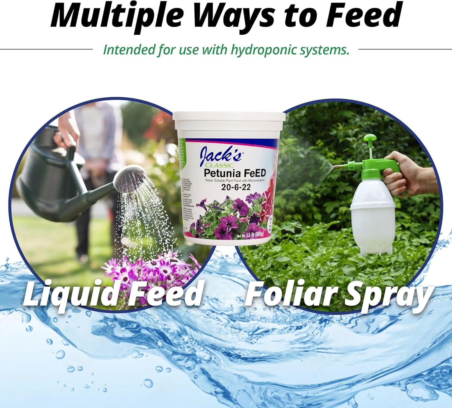 Jack's Classic 20-6-22 Petunia FeED Water Soluble Plant Food with Micronutrients 1.5 lbs - Image 6
