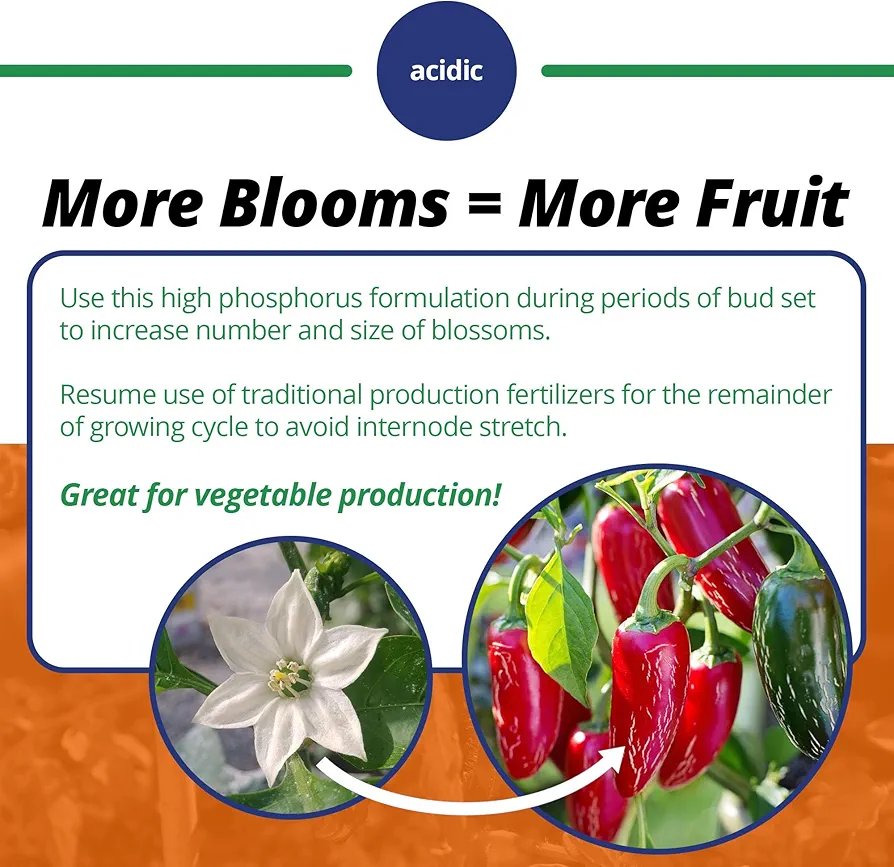 Jack's Classic 10-30-20 Blossom Booster Water Soluble Plant Food with Micronutrients 4 lbs - Image 4