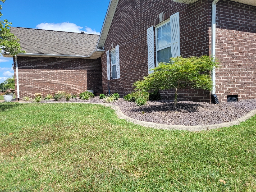 Snow's Bed Maintenance