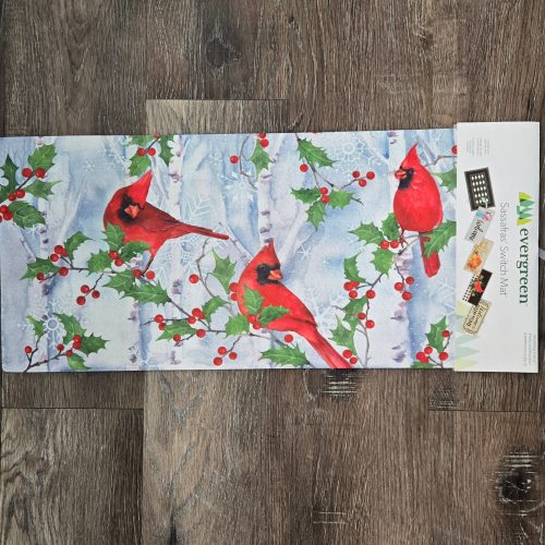 Switch Mat Winter Visit