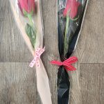 Single Stem Rose In Sleeve