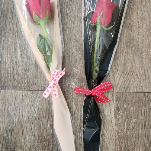 Single Stem Rose In Sleeve