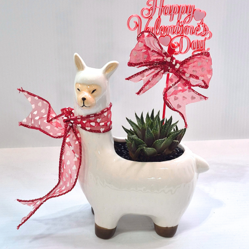 Lama Planter