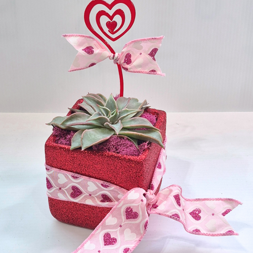Succulent Red Glitter Planter